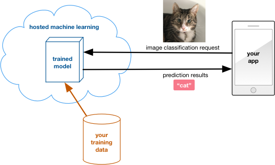 Hosted machine learning in the cloud