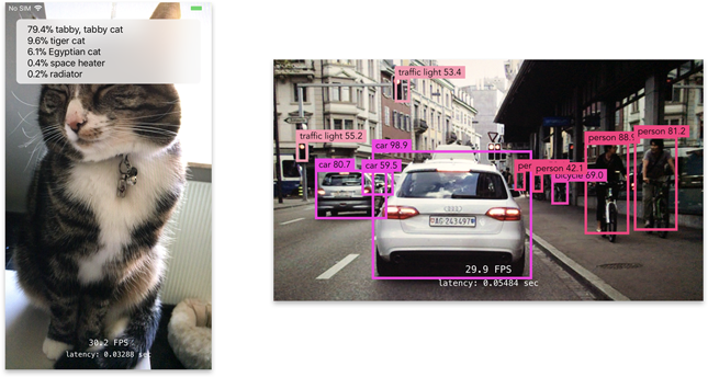 MobileNetV2 classifier and object detector on live camera feed