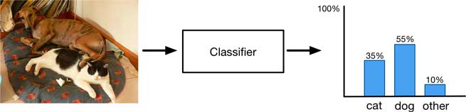 How an image classifier deals with multiple objects