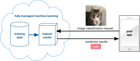 Fully managed machine learning