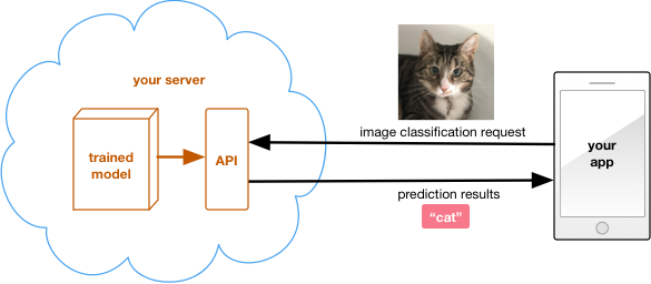 Performing inference on a server