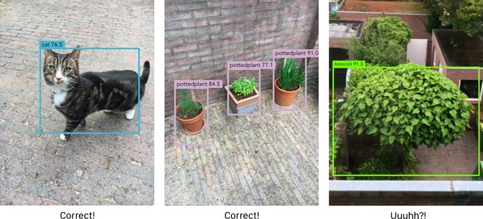 Object detection in action