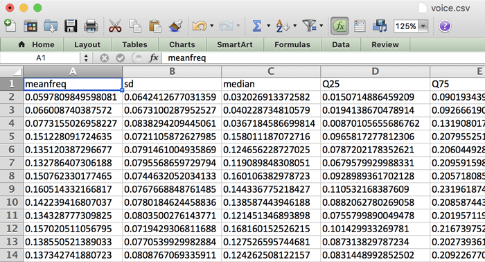 The dataset CSV file in Excel